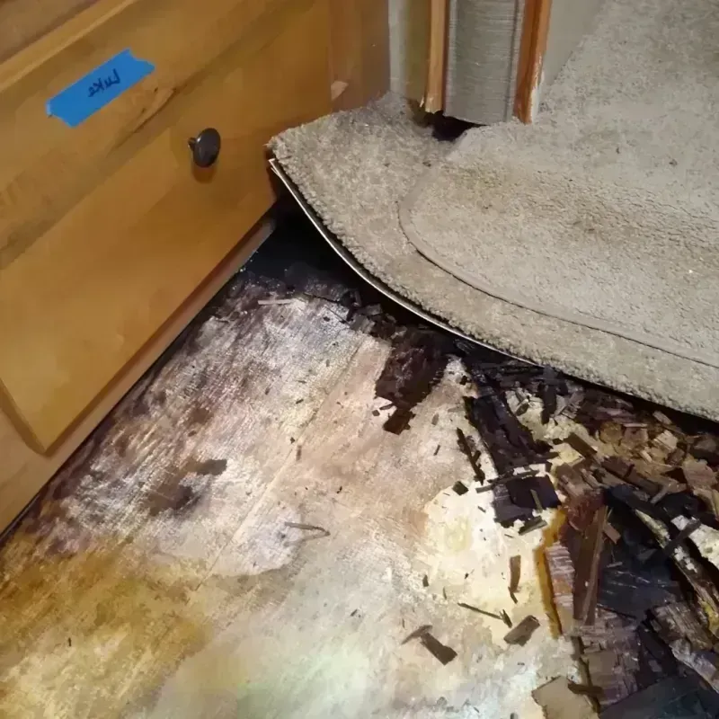 Wood Floor Water Damage in Saint Joseph, MO